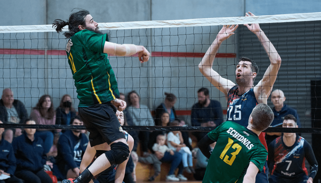 AVL – Young Echidnas show plenty of promise in first AVL year AVL – Young Echidnas show plenty of promise in first AVL year